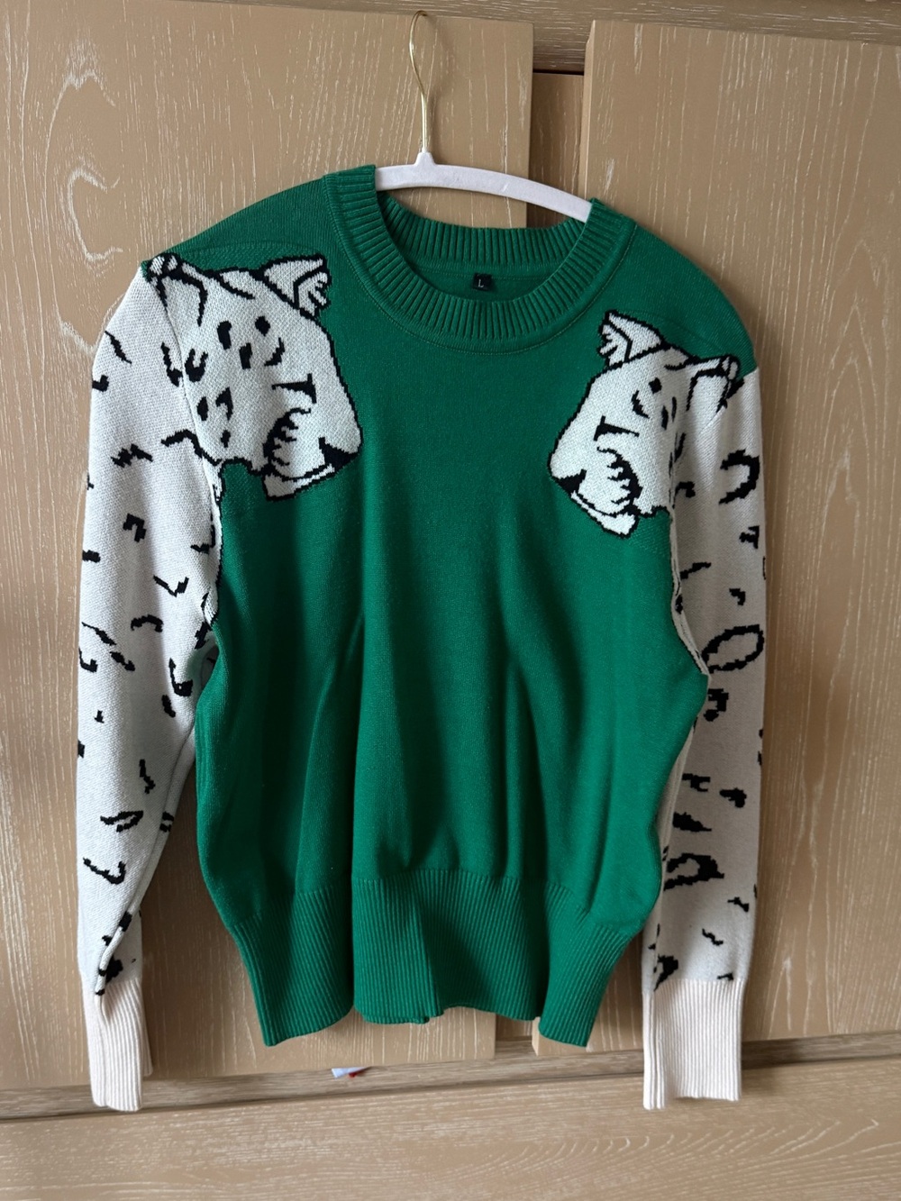 Green & Cream Leopard-Accent Knit Sweater - Women